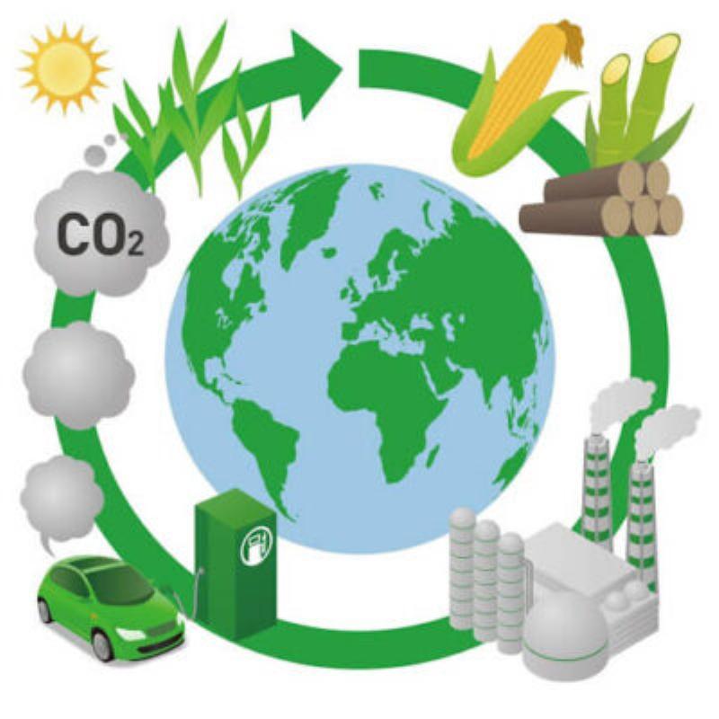 Ethanol sinh học, nguồn gốc từ thực vật và tác động đến môi trường